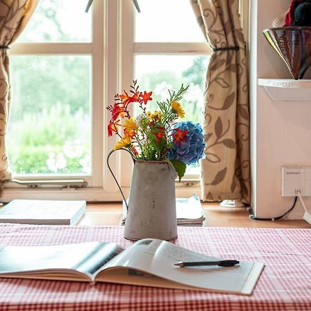 Traditional Stone Cottage With Sea Views In Snowdonia National Park Brynkir Экстерьер фото