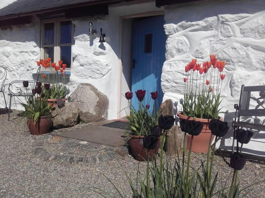 Traditional Stone Cottage With Sea Views In Snowdonia National Park Brynkir Экстерьер фото