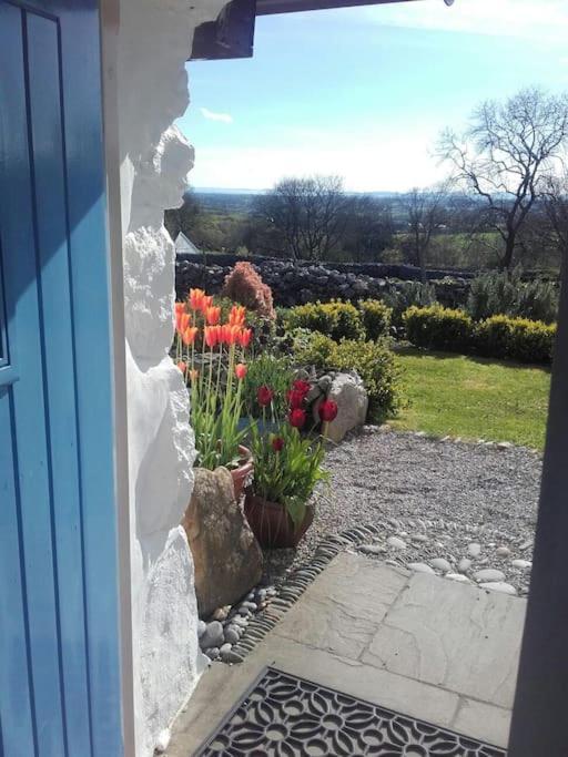 Traditional Stone Cottage With Sea Views In Snowdonia National Park Brynkir Экстерьер фото